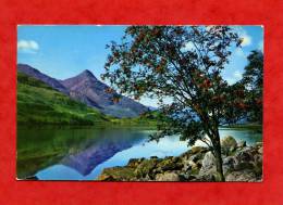 * ROYAUME UNI-LOCH LEVEN,LOOKING TOWARDS THE PAP OF GLENCOE(Timbre N°698a)-1975 - Argyllshire