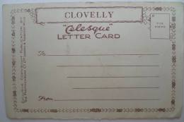 Clovelly - Letter Card - 5 Views - Rose Cottage , High Street (2 Differents) , Gallantry Rocks , From The Hobby Drive - Clovelly