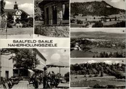 AK Saalfeld: Kulturpark, Kulmberghaus, Schwimmbad, Ung, 1973 - Saalfeld