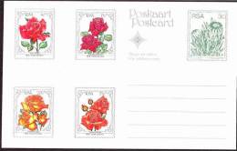 South Africa - 1979 - Roses - Set Of 5 Maxi / Post Cards - Mint - Afrique Du Sud