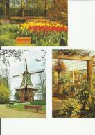 NETHERLANDS 1981 - PACK WITH SET OF 10 POSTCARDS (all Different) - LISSE -(DUNE & BULB) KEUKENHOF NEW - UNUSED- ESTER AP - Lisse