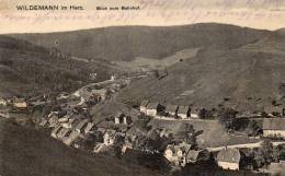 Wildemann In Harz Blick Zum Bahnhof  1923 Infla Postcard - Wildemann