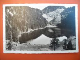 (3/1/24) AK "Taubensee" Das Auge Des Chiemgaus - Chiemgauer Alpen