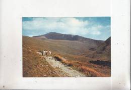 BT11301 Llanberis Track Up Snowdon   2 Scans - Andere & Zonder Classificatie