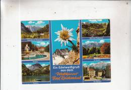 BT11558 Ein Edelweissgruss Aus Dem Weltkuront Bad Reichenhall     2 Scans - Bad Reichenhall