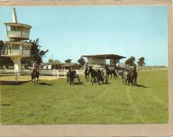 44  MACHECOUL  HIPPODROME DES CHAUMES  IMPORTANTES REUNIONS HIPPIQUES  NOMBREUX ELEVAGES DE  CHEVAUX - Machecoul