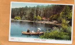 Sackingen Bergsee 1905 Postcard - Bad Säckingen