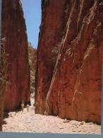 (435) Australia - NT - Standley Chasm - Non Classificati