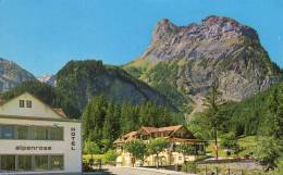 HOTEL ALPENROSE KANDERSTEG - Kandersteg