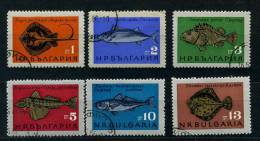 Bulgarie Ob N° 1328 à 1333 - Poissons - Used Stamps