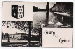 Cpsm 92 - Bourg La Reine - Les Cygnes Du Parc De Sceaux - Le Lycée Lakanal - (9x14 Cm) - Bourg La Reine