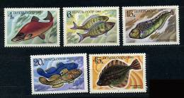 Russie ** N° 5017 à 5021 - Poissons - Used Stamps