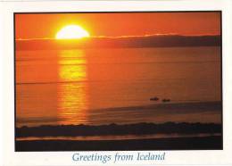 * * Greeting From ICELAND * *   ( Carte Vierge ) - Iceland