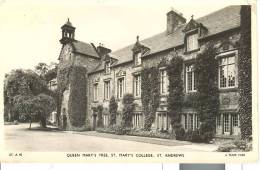 GRA164 - Queen Mary's Tree - St. Mary's College - St. Andrews - Fife
