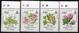 British Indian Ocean Territory 1993 - Christmas Flowers Plate 1B/1D SG141-144 MNH Cat £4.45++ SG2015 - British Indian Ocean Territory (BIOT)