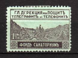 BULGARIA - 1925/29 YT 1 * EXPRES - Eilpost