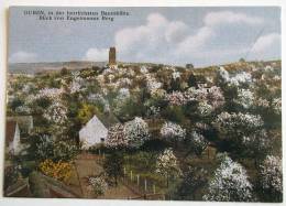 CPM GUBEN IN DER HERRLICHSTEN BAUMBLUTE BLICK VON ENGELMANNS BERG - Guben