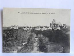 CPA (86) Vienne - Vue Générale De LUSIGNAN Et La Vallée De La Vônnne - Lusignan
