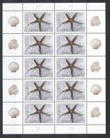 2465/ Slowenien Slovenia 2001 Mi.No. 347 ** MNH MS KB Fossilien Seestern - Fossils Starfish - étoiles De Mer Fossiles - Fossielen