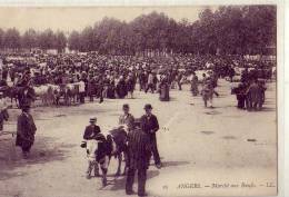 Angers 49   Place Larechefoucault  Marché Aux Boeufs - Angers