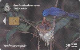 Télécarte à Puce THAILANDE - Oiseau Au Nid - Bird Feeding In Nest Chip Phonecard Thailand - Vogel Telefonkarte - BE 2231 - Songbirds & Tree Dwellers