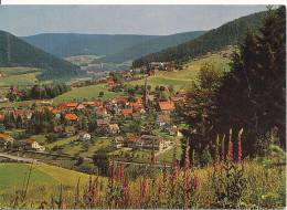 PK-CP Deutschland, Baiersbronn Im Schwarzwald, Gebraucht, Siehe Bilder! *) - Baiersbronn