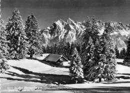 CPM SUISSE IN DEN FLUMSERBERGEN - Flums