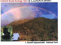 (150) Africa -  Ouganda - Bwindi Forest - Oeganda