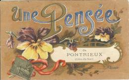 22 - PONTRIEUX - Une Pensée De Pontrieux - Pontrieux