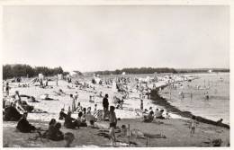 29.Finistere.Ile Tudy.La Plage - Ile Tudy