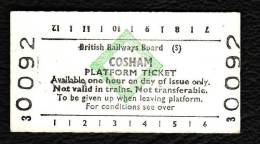Railway Platform Ticket COSHAM BRB(S) Green Diamond Edmondson - Europa