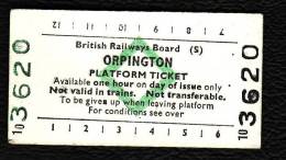 Railway Platform Ticket ORPINGTON BRB(S) Green Diamond Edmondson - Europa