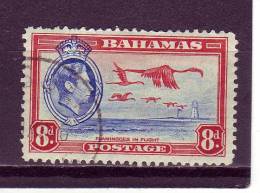 Bahamas YV 112 O 1938 Flamant - Fenicotteri