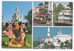 DISNEYWORLD  Mickey Minnie Goofy Pluto.... - Disneyworld