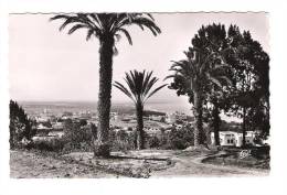 Belle Carte Postale Maroc Agadir Vue Générale Sur La Ville Nouvelle 1953 - Agadir