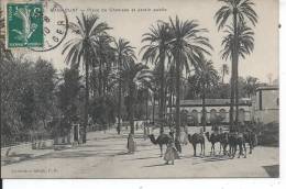 ALGERIE - LAGHOUAT - Place Du Chameau Et Jardin Public - Laghouat