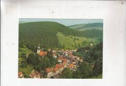 BT11820 Wildemann Im Oberharz Da Wo Die Natur    2 Scans - Wildemann