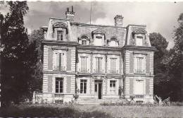 Cpsm Louvres, Le Château - Louvres