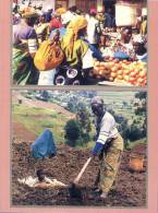 (500) Africa - Uganda - Farming - Uganda