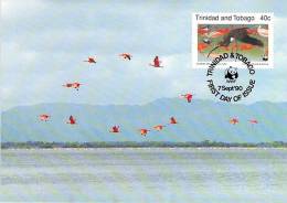 TRINIDAD  WWF CARTE MAXIMUM NUM.YVERT 639 PROTECTION DE LA NATURE FAUNE  OISEAUX IBIS - Maximum Cards