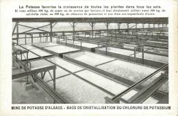 MINE DE POTASSE D'ALSACE BACS DE CRISTALLISATION DU CHLORURE DE POTASSIUM - Mines
