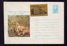 FOX, NATURAL HISTORY MUSEUM STAMP, COVER STATIONERY, ENTIERE POSTAUX, 1974, ROMANIA - Lapins