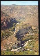 CPM Non écrite  LES GORGES DU TARN Panorama De Saint Chely - Saint Chely D'Apcher