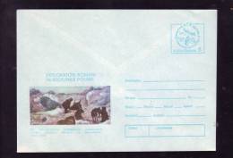 CONSTANTIN DUMBRAVA, 1ST EXPEDITION IN GROENLANDA, COVER STATIONERY, ENTIERE POSTAUX, UNUSED, 1984, ROMANIA - Explorateurs