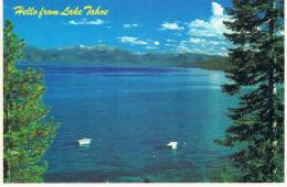 Hello From LAKE TAHOE - TBE, Carte Neuve, 2 Scans - Other & Unclassified