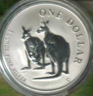 AUSTRALIA $1 KANGAROO ANIMAL FRONT QEII HEAD BACK 1999 UNC 1 OUNCE .999 SILVER READ DESCRIPTION CAREFULLY !!! - Sonstige & Ohne Zuordnung