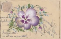 Matériaux Différents - Fantaisies Tissu Pensée - Carte Porcelaine Celluloïd - Oblitération Beauvais 1905 - Cartes Porcelaine