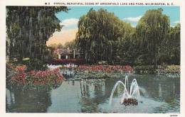 North Carolina Wilmington Typical Beautiful Scene At Greenfield Lake And Park - Wilmington