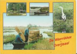 NETHERLANDS 1995 –DRENTHE -OVERRIJSSEL –DE WEERRIBBEN – NATURE PARKS VIEW  FLOWN W 1 ST OF 70 C POSTM ZWOLLE JUN 26, 19 - Other & Unclassified