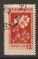 Bulgaria 1953  Medicinal Flowers  (o) Mi.875 - Used Stamps